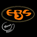 EBS silver fashion